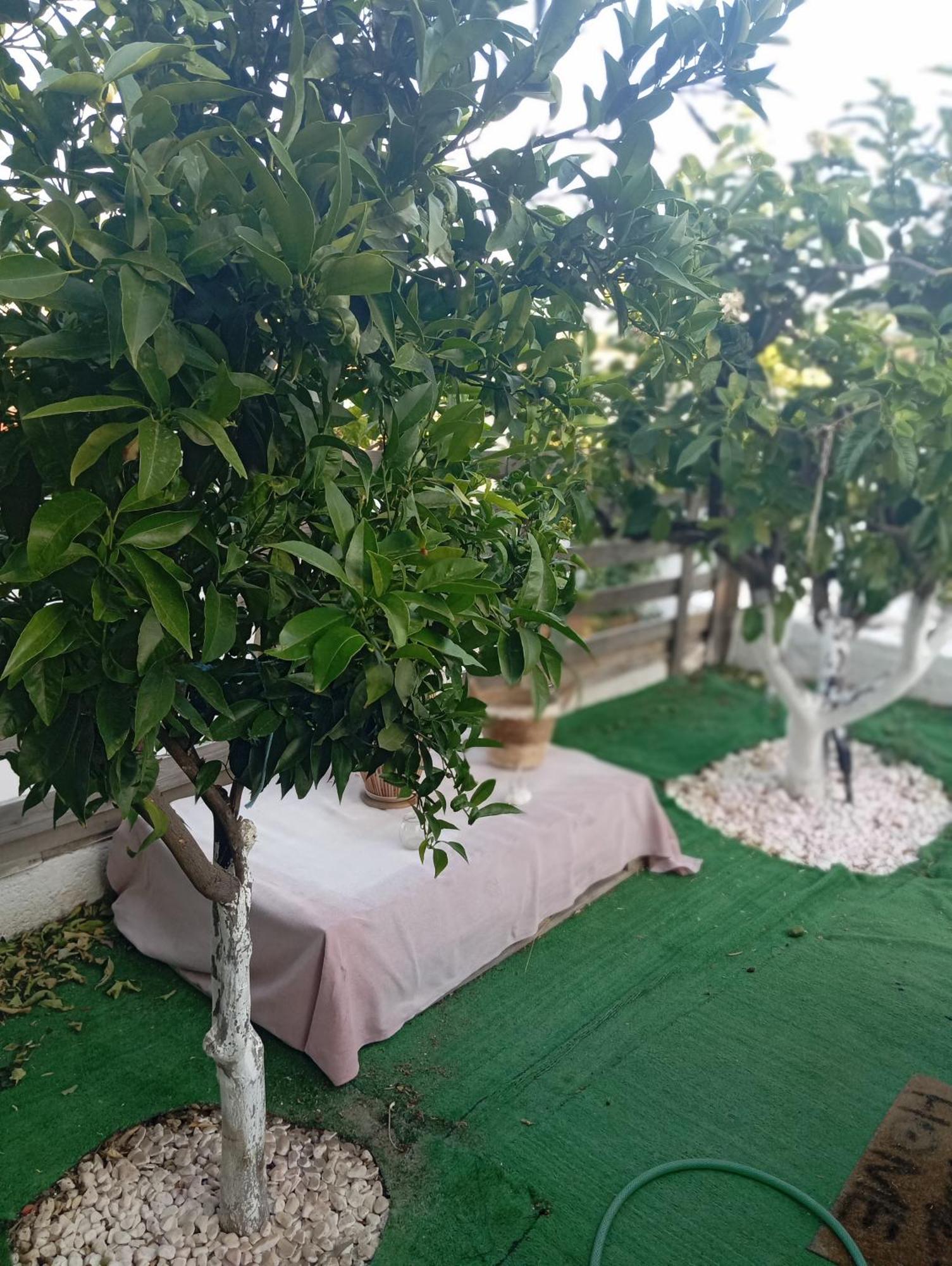 Queens Luxury Glamping Palaiokastro  Bagian luar foto